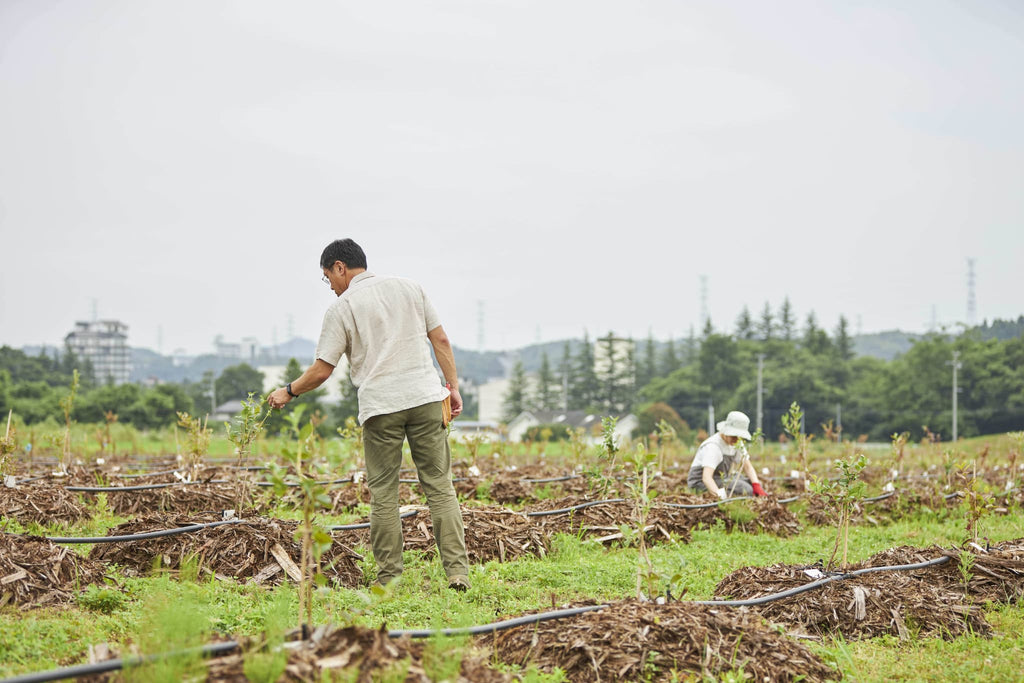 ドライフルーツ作りへの想い - BLUE BLUEBERRY FARM and orata.net online store