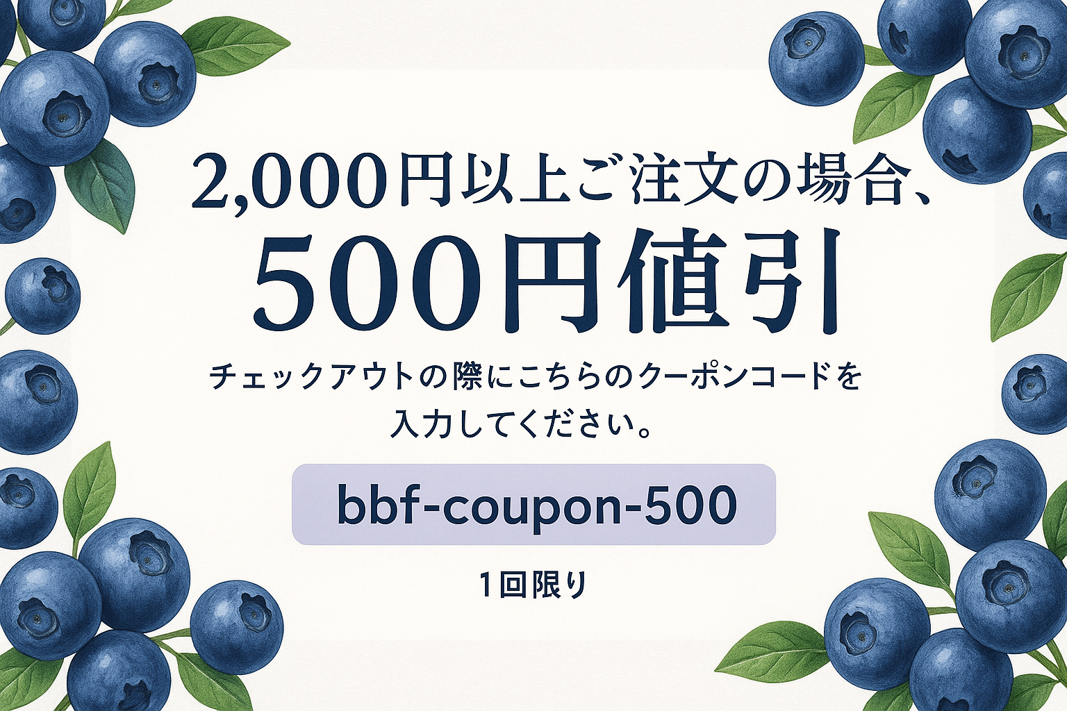 チェックアウトの際にこちらのクーポンコードを入力してください。
を1回限りの上に入れて