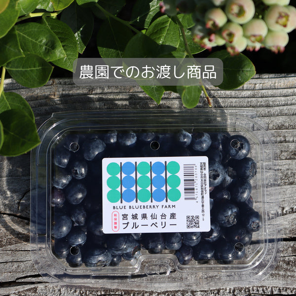 【仙台秋保の農園でのお渡し】農薬不使用仙台市秋保産ブルーベリー240g x1パック