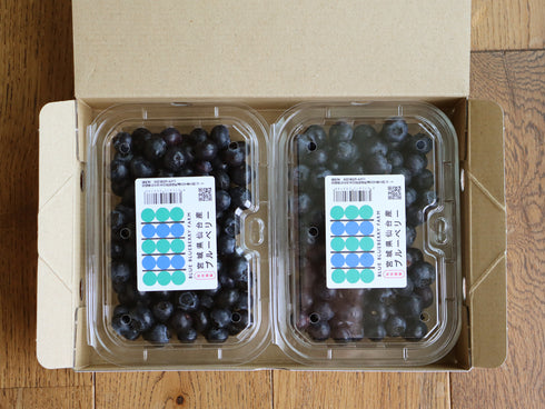 農薬不使用仙台市秋保産ブルーベリー合計480g/化粧箱冷蔵配送