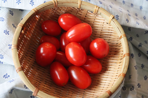 さくらんぼ農家 村上果樹園さんのフルーツトマトは 真っ赤でかわいくて 甘〜いヘルシーおやつ。 ドライフルーツ・乾燥野菜 BLUE BLUEBERRY FARM