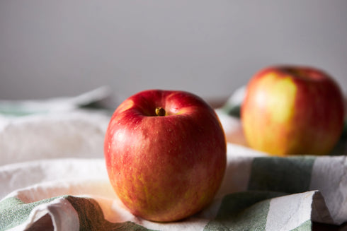 結城果樹園さんが樹上完熟させた 宮城県亘理産の甘いリンゴのドライフルーツ ドライフルーツ・乾燥野菜 BLUE BLUEBERRY FARM