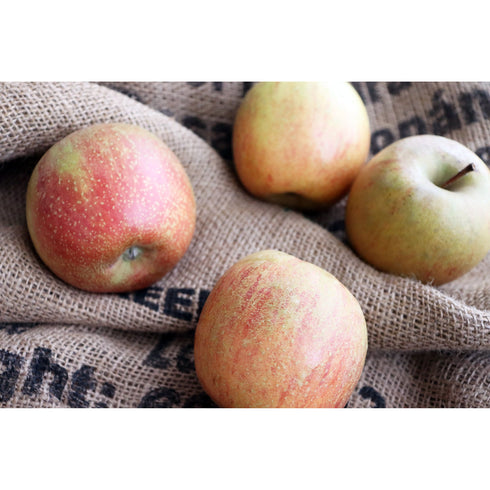 赤石農園さんが岩木山の麓、豊かな土壌で育てた青森産完熟リンゴのドライフルーツ ドライフルーツ・乾燥野菜 BLUE BLUEBERRY FARM