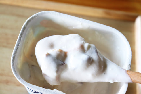 ヨーグルト用ドライフルーツ 原点回帰ミックス