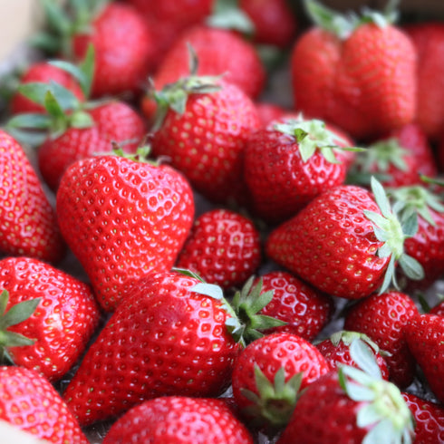 国産いちごのドライフルーツ