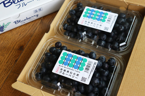 農薬不使用仙台市秋保産ブルーベリー合計480g/化粧箱冷蔵配送