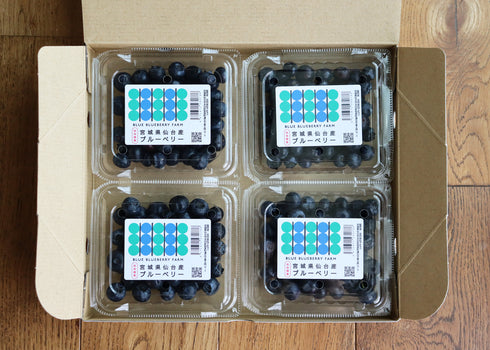 農薬不使用仙台市秋保産ブルーベリー合計480g/化粧箱冷蔵配送
