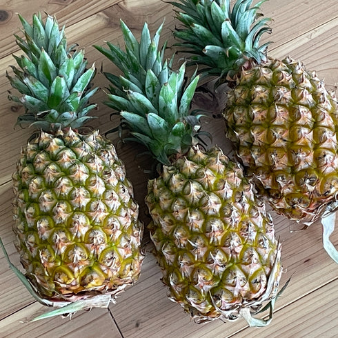 台湾パインは スマイルカットで! そのまんまパクッと 味わって欲しい ジューシーな甘さ ドライフルーツ・乾燥野菜 BLUE BLUEBERRY FARM