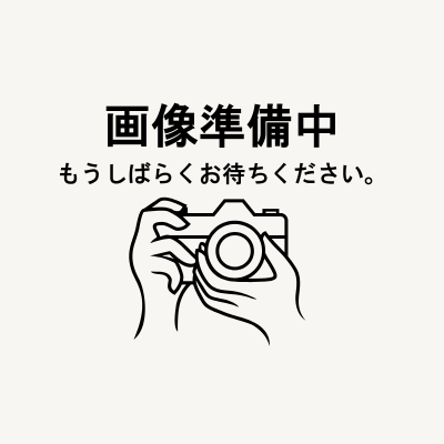 国産りんごのドライフルーツ【レシピ用】