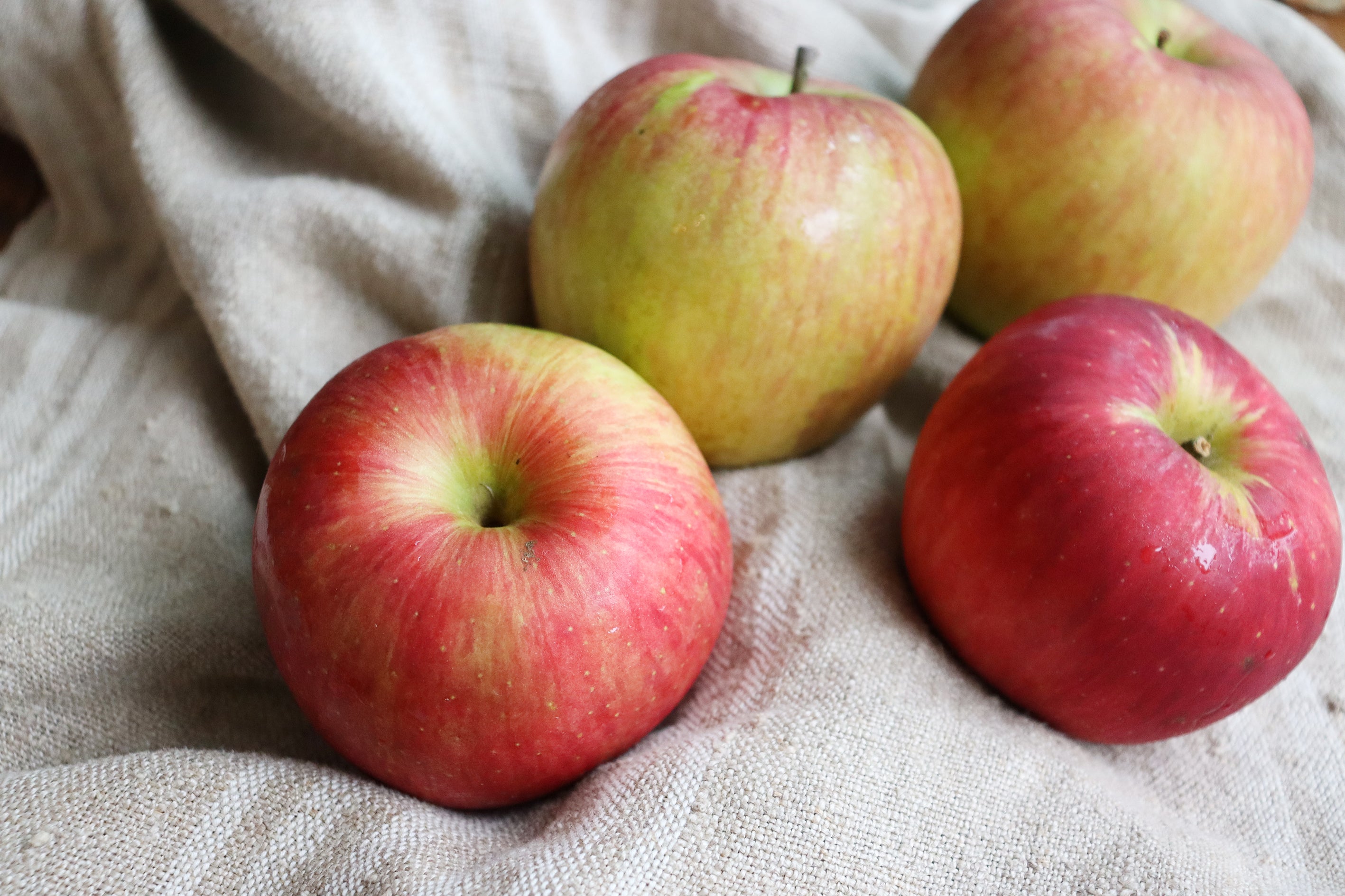 国産りんごのドライフルーツ