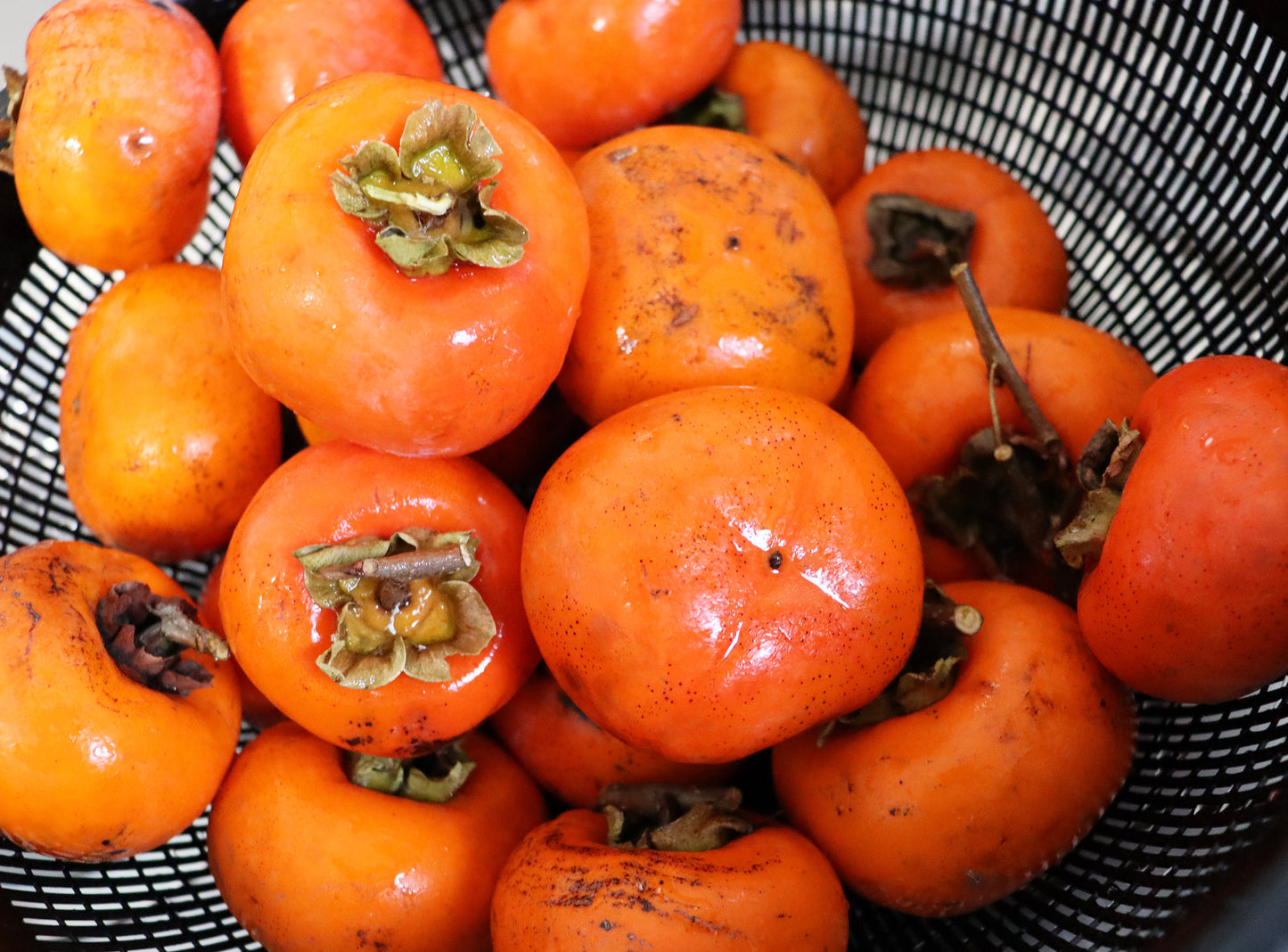 美味しいのに収穫できず熊に狙われていた秋保産の柿を集めて作った甘〜いスライス干し柿 ドライフルーツ・乾燥野菜 BLUE BLUEBERRY FARM   